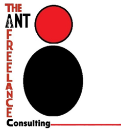 logo TAF CONSULTING